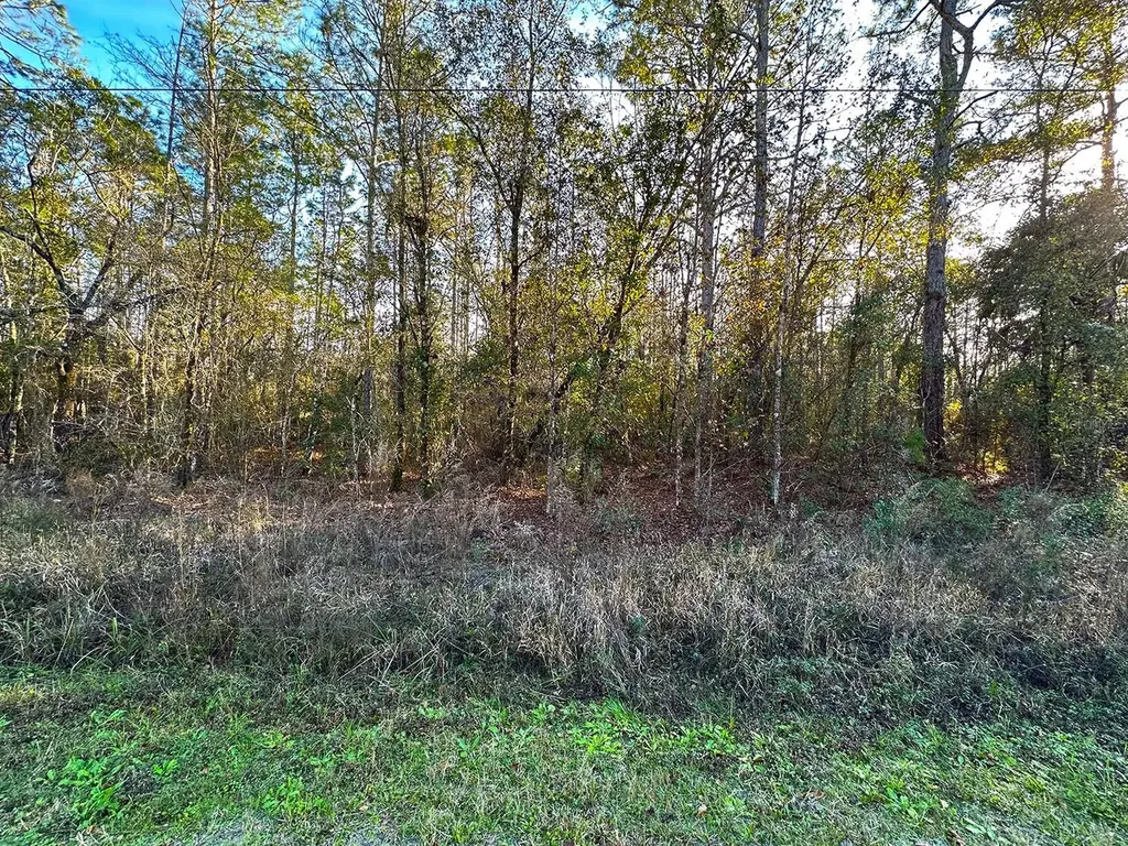 Lot 428 Division Street Hastings FL 32145