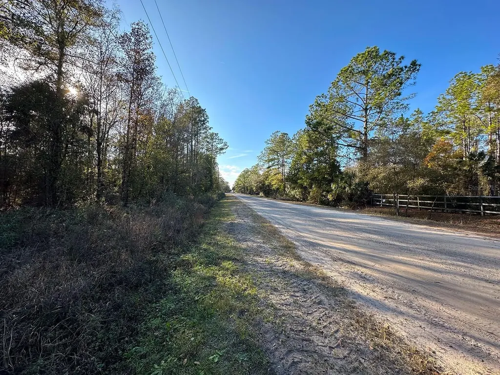 Lot 428 Division Street Hastings FL 32145
