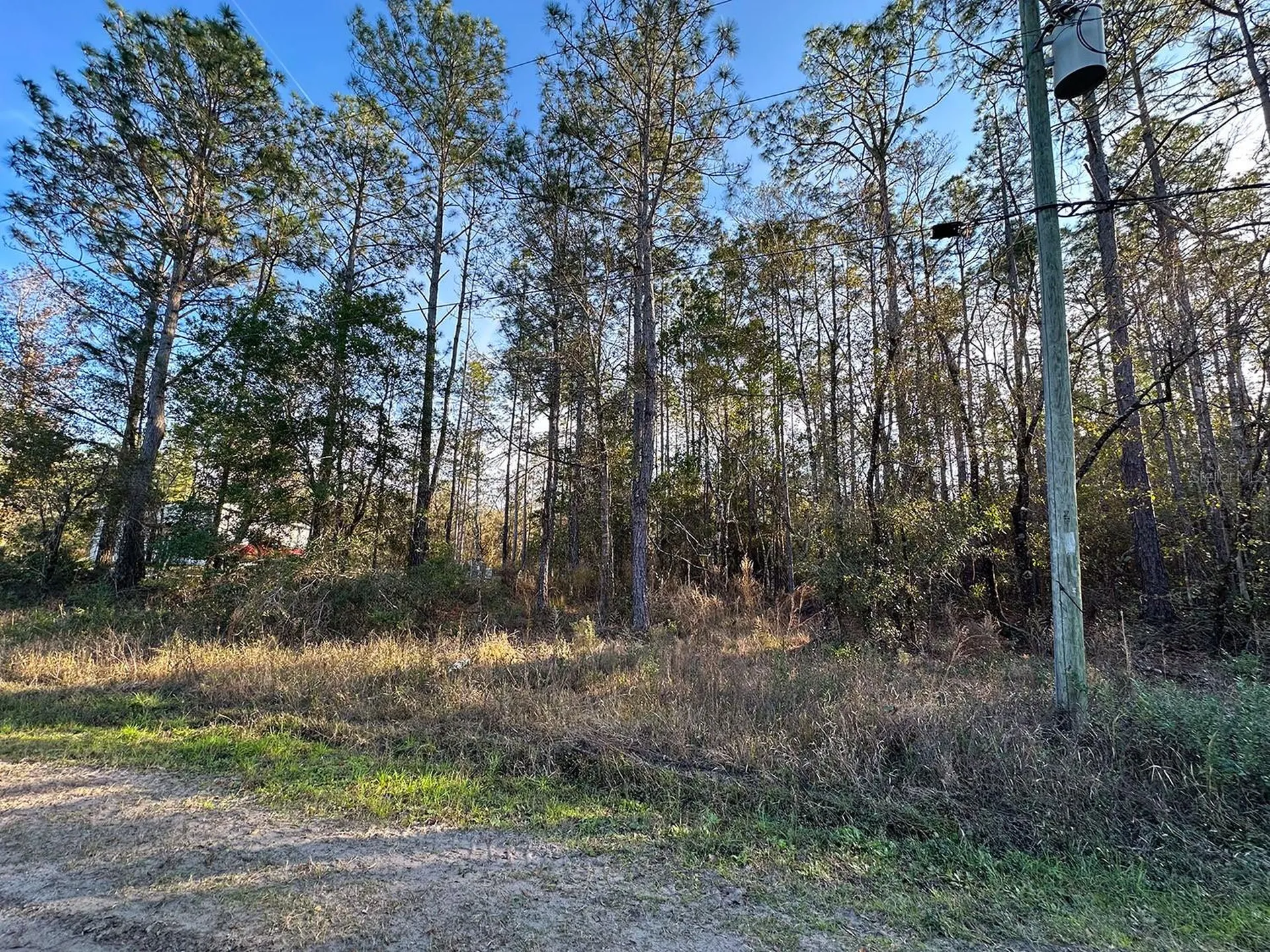 Lot 428 Division Street Hastings FL 32145