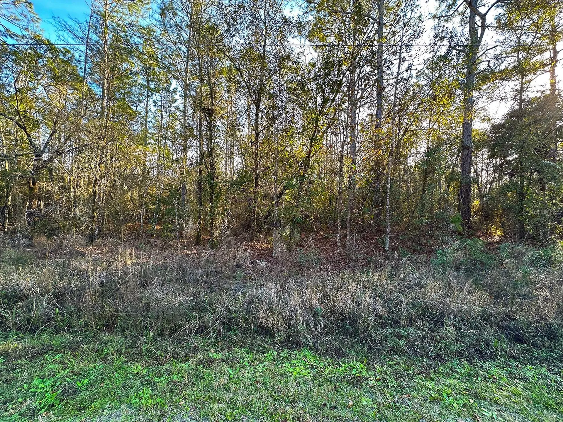 Lot 428 Division Street Hastings FL 32145