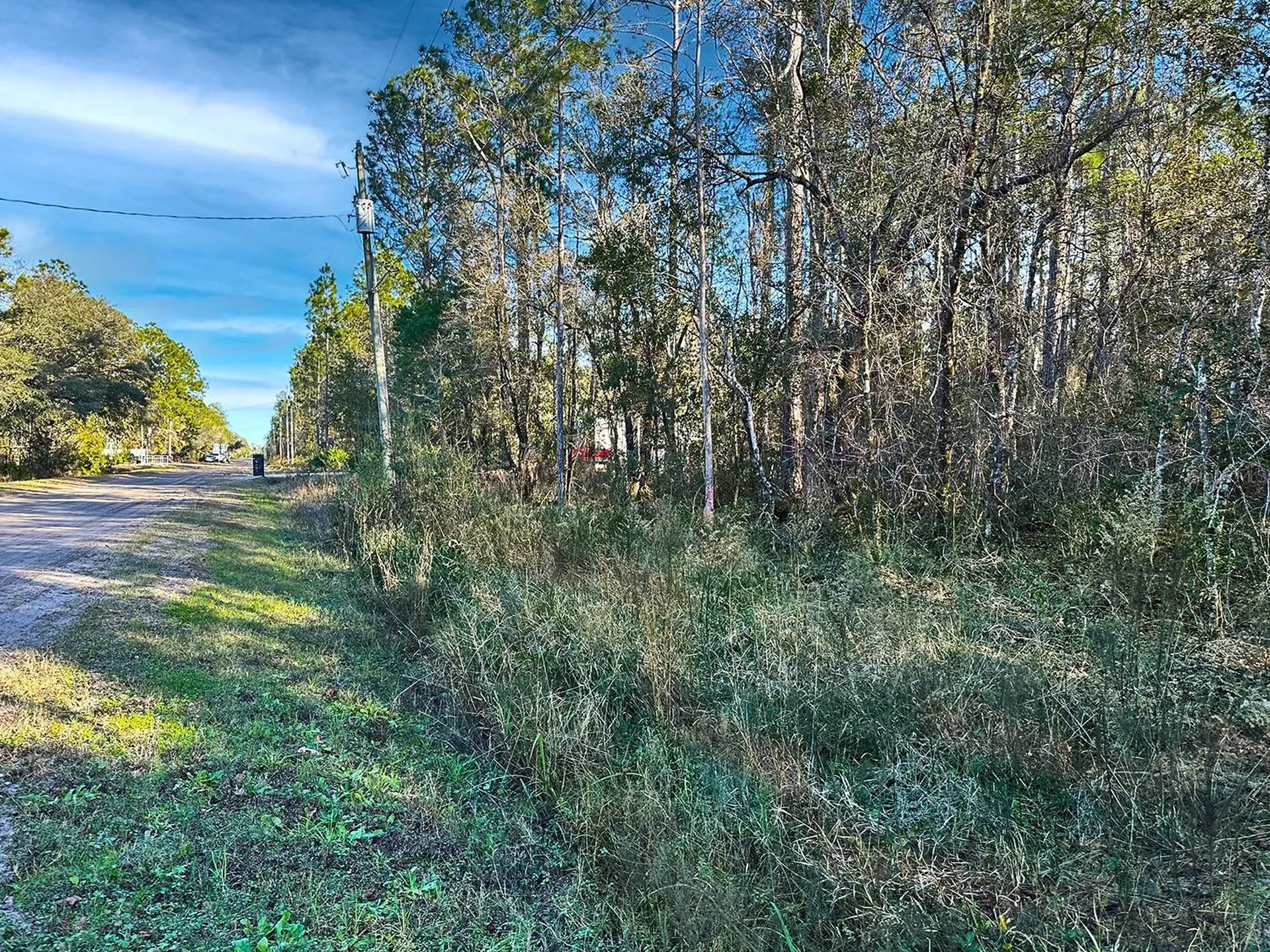 Lot 428 Division Street Hastings FL 32145