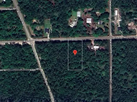Lot 428 Division Street Hastings FL 32145