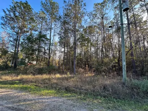 Lot 428 Division Street Hastings FL 32145