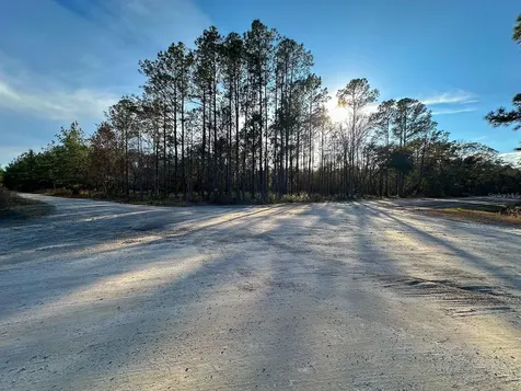 Lot 428 Division Street Hastings FL 32145