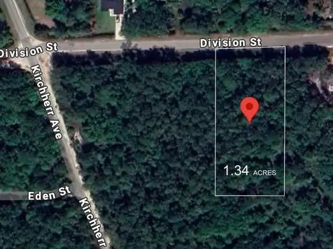 Lot 428 Division Street Hastings FL 32145