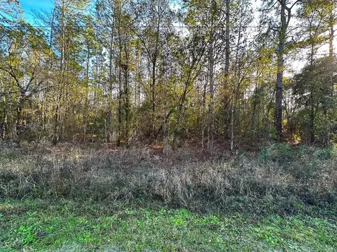 Lot 428 Division Street Hastings FL 32145
