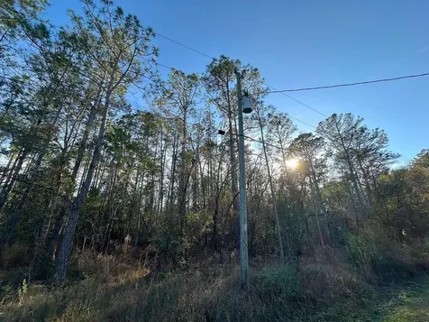 Lot 428 Division Street Hastings FL 32145