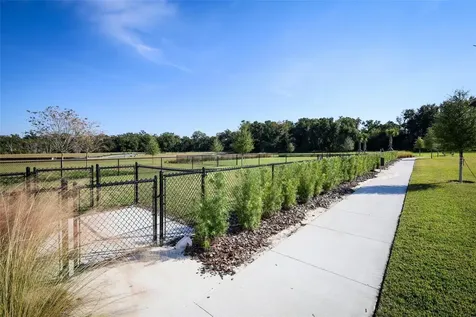 3519 Briarwood Grove Drive Ocoee FL 34761
