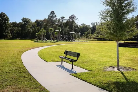 3519 Briarwood Grove Drive Ocoee FL 34761