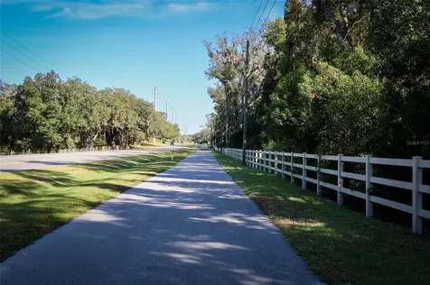 3519 Briarwood Grove Drive Ocoee FL 34761