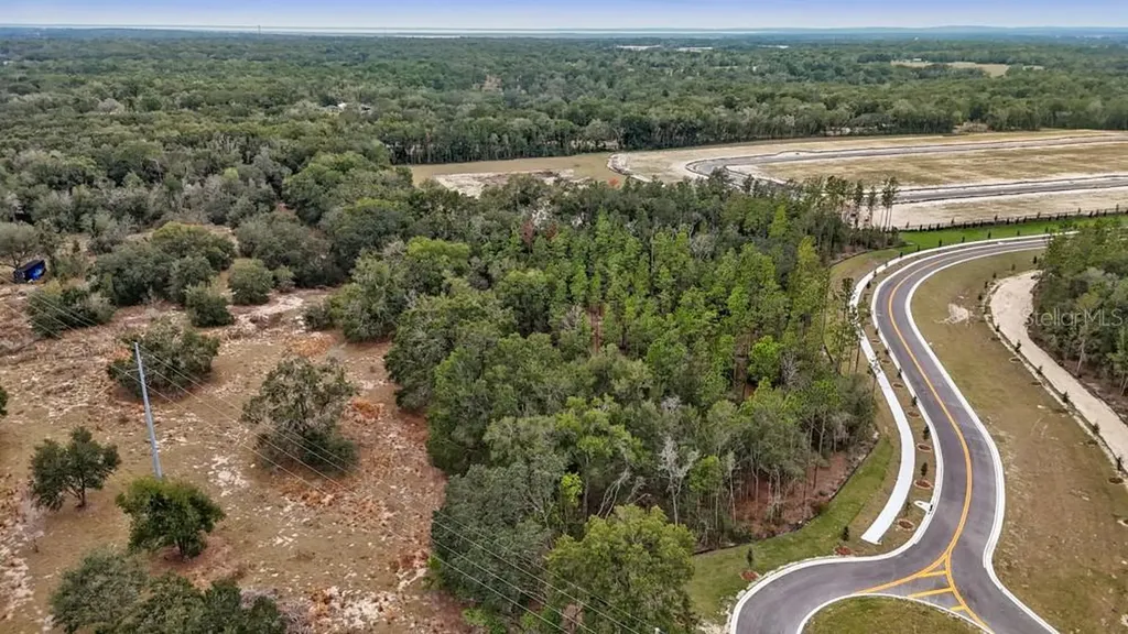 5936 Stoneybrook Hills Parkway Mount Dora FL 32757