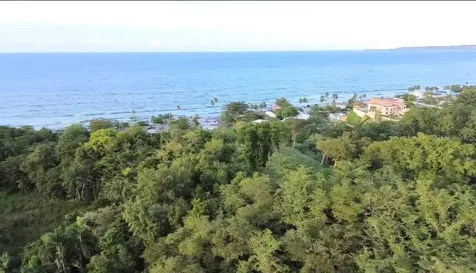 Palmar Novoa Aguada PR 00602