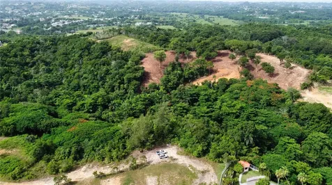 Palmar Novoa Aguada PR 00602