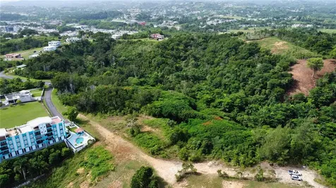 Palmar Novoa Aguada PR 00602