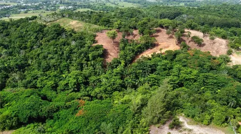 Palmar Novoa Aguada PR 00602