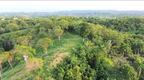 Palmar Novoa Aguada PR 00602