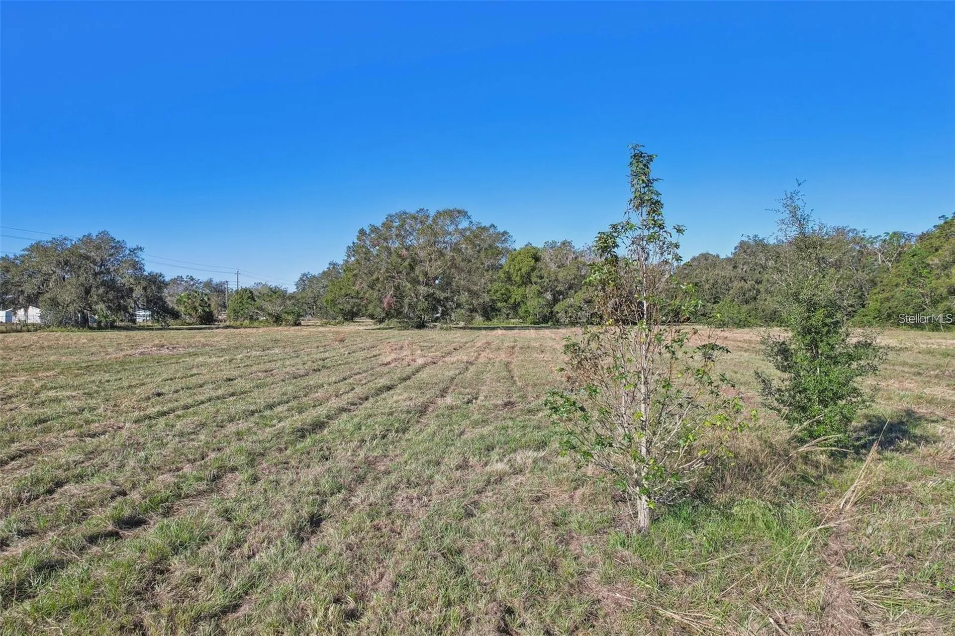 00 Cr-542 Lakeland FL 33801