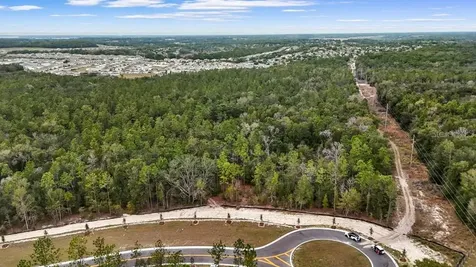5937 Stoneybrook Hills Parkway Mount Dora FL 32757