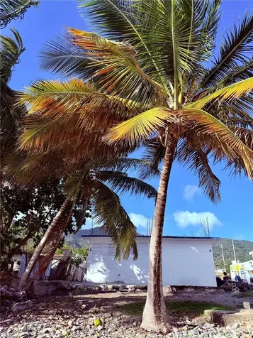 3 Route Patillas PR 00723