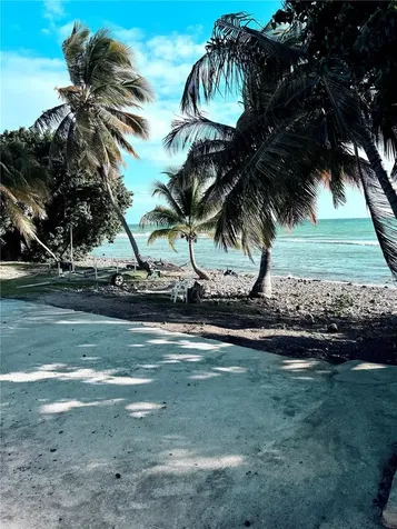 3 Route Patillas PR 00723
