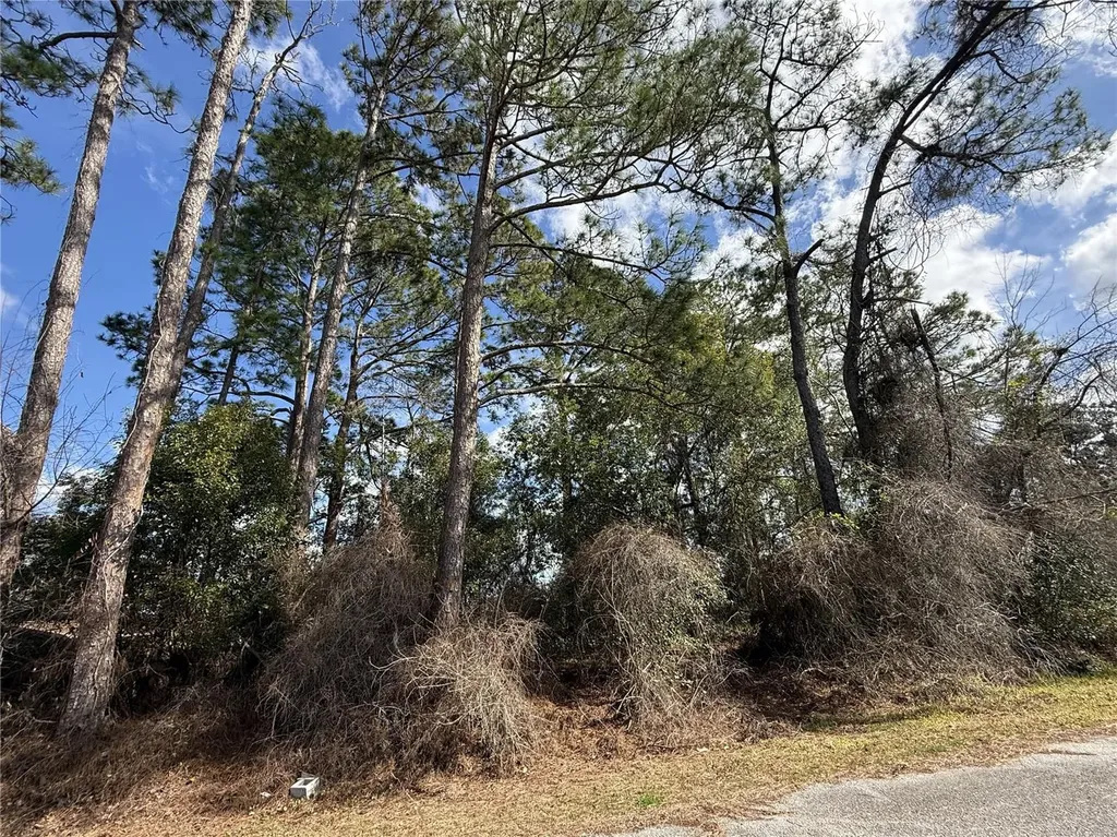 Tbd SE 190th Avenue Silver Springs FL 34488