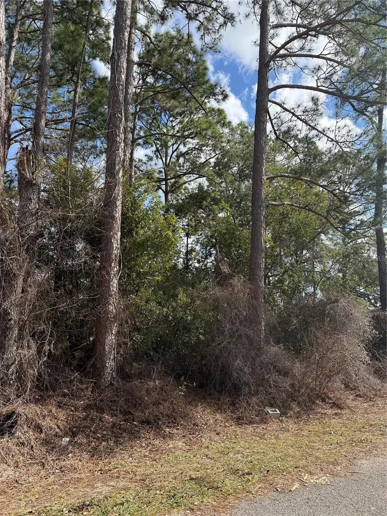 Tbd SE 190th Avenue Silver Springs FL 34488