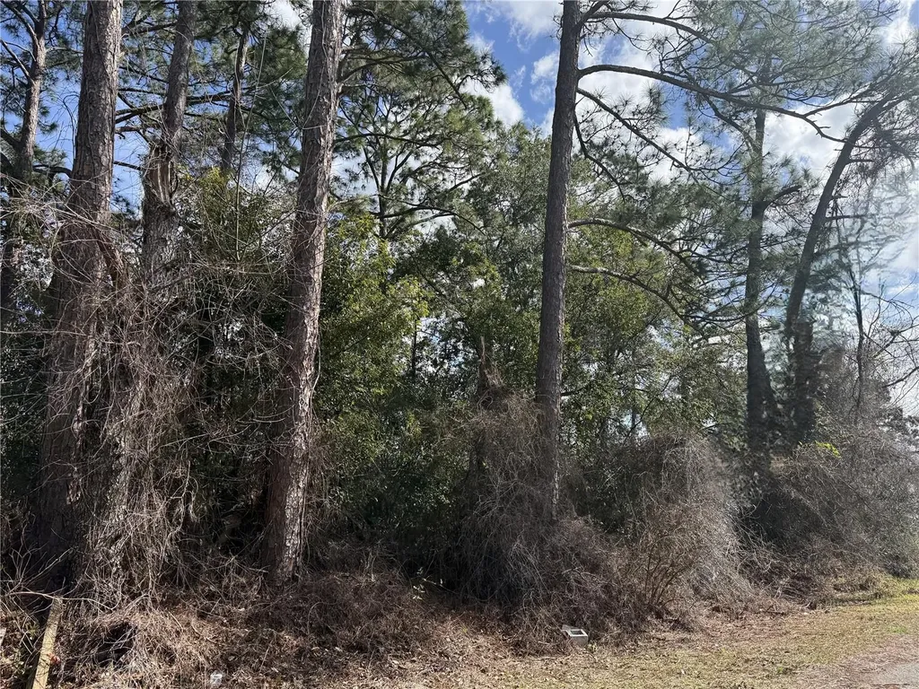 Tbd SE 190th Avenue Silver Springs FL 34488