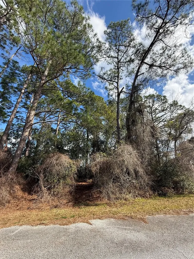 Tbd SE 190th Avenue Silver Springs FL 34488