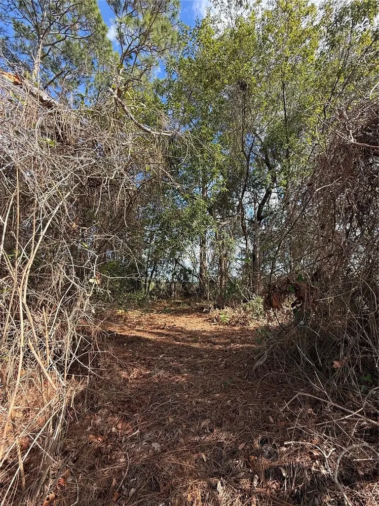 Tbd SE 190th Avenue Silver Springs FL 34488