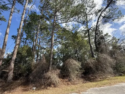 Tbd SE 190th Avenue Silver Springs FL 34488