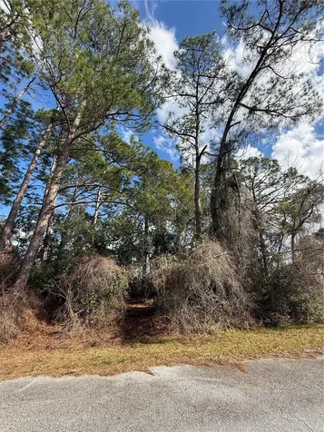 Tbd SE 190th Avenue Silver Springs FL 34488