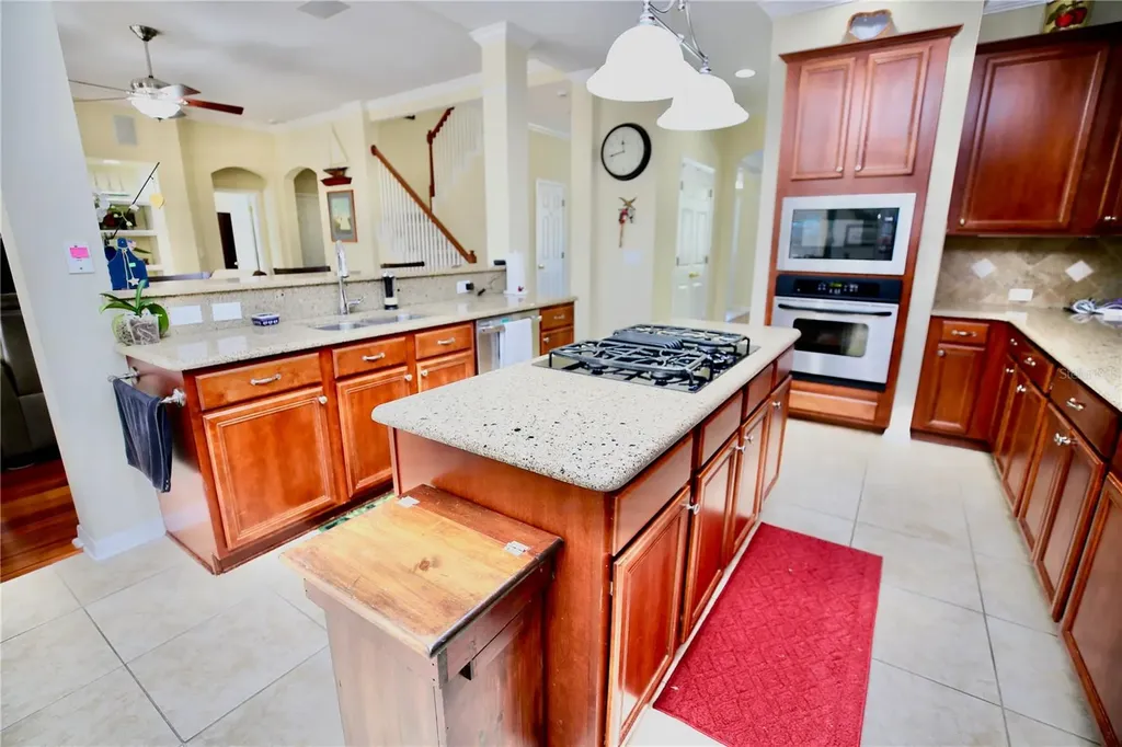 19822 Prince Benjamin Drive Lutz FL 33549