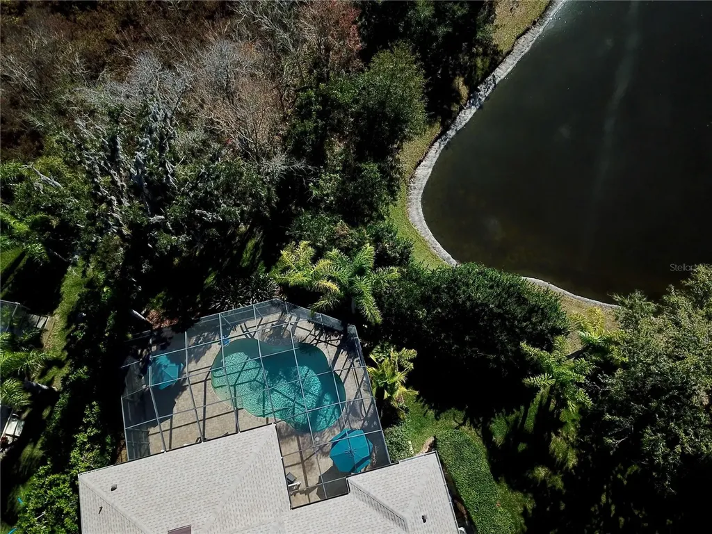 19822 Prince Benjamin Drive Lutz FL 33549