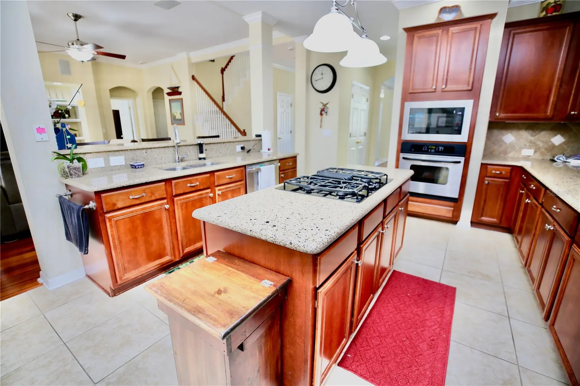 19822 Prince Benjamin Drive Lutz FL 33549