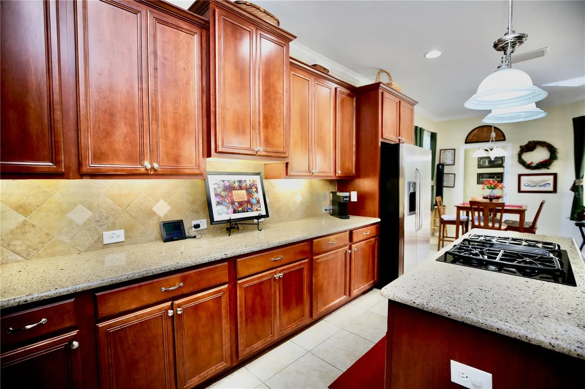 19822 Prince Benjamin Drive Lutz FL 33549