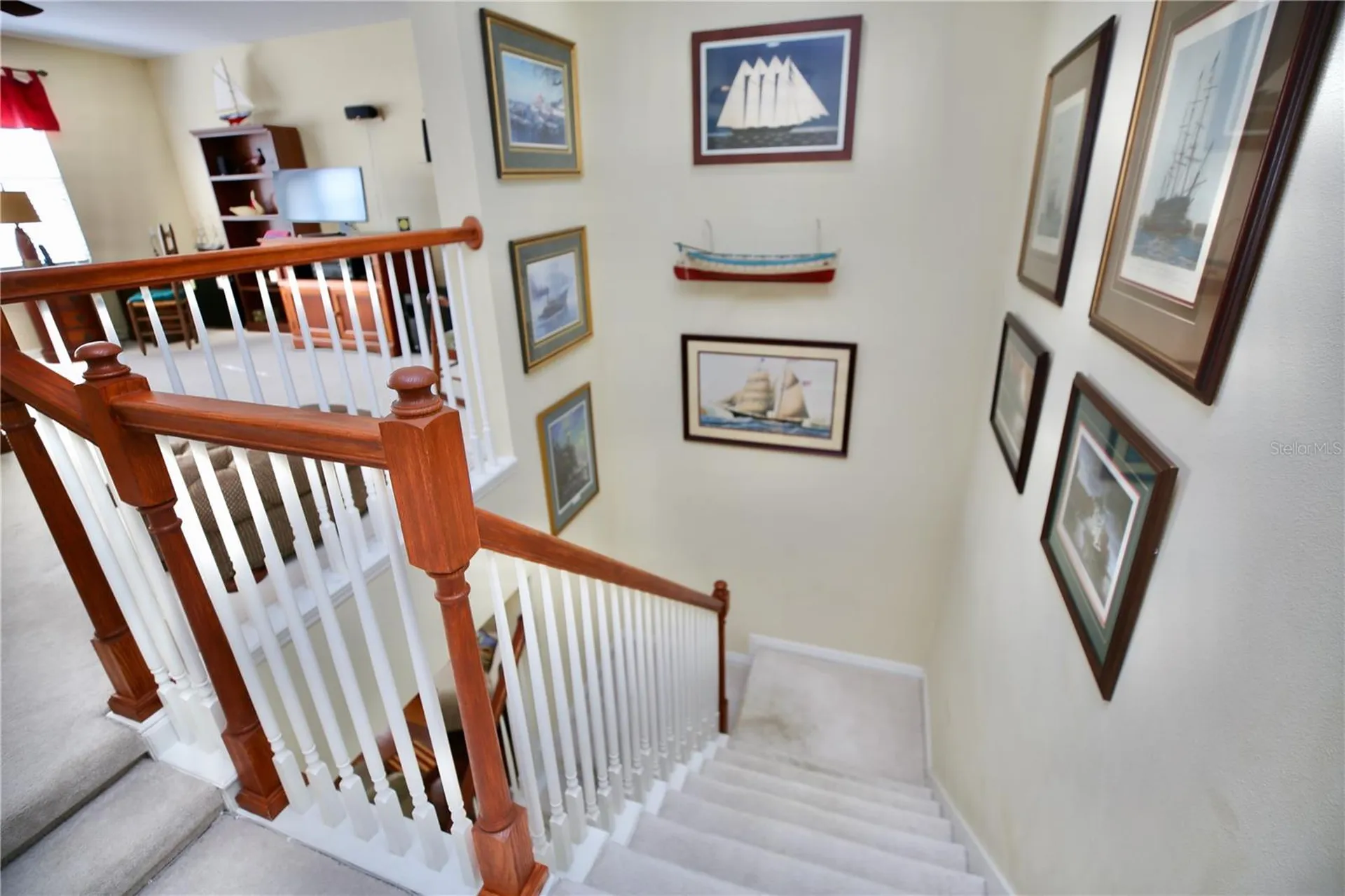 19822 Prince Benjamin Drive Lutz FL 33549