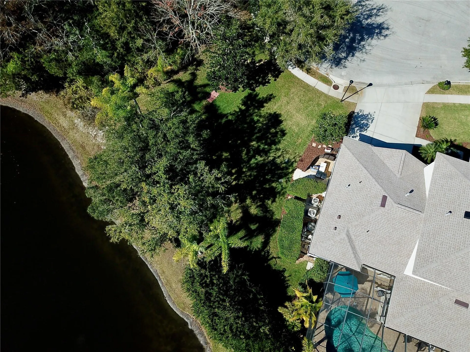 19822 Prince Benjamin Drive Lutz FL 33549