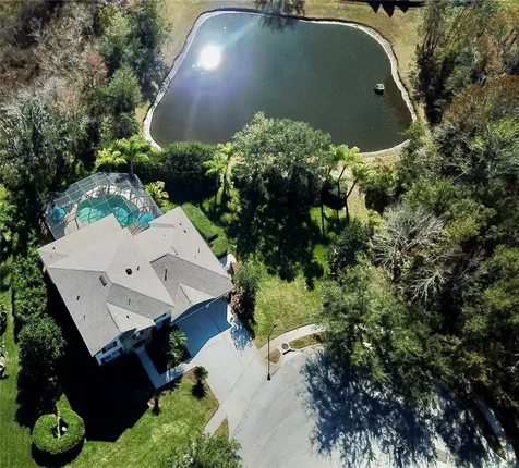 19822 Prince Benjamin Drive Lutz FL 33549