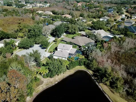 19822 Prince Benjamin Drive Lutz FL 33549
