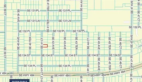 SE 41st Court Belleview FL 34420