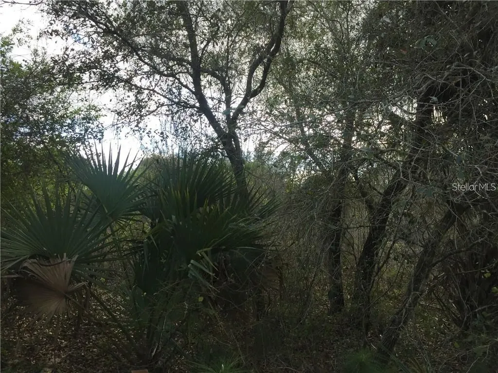 Lot 9 Honeycomb Circle North Port FL 34291