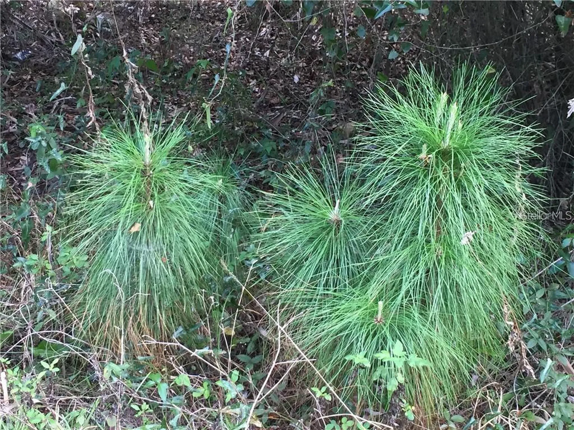 Lot 9 Honeycomb Circle North Port FL 34291