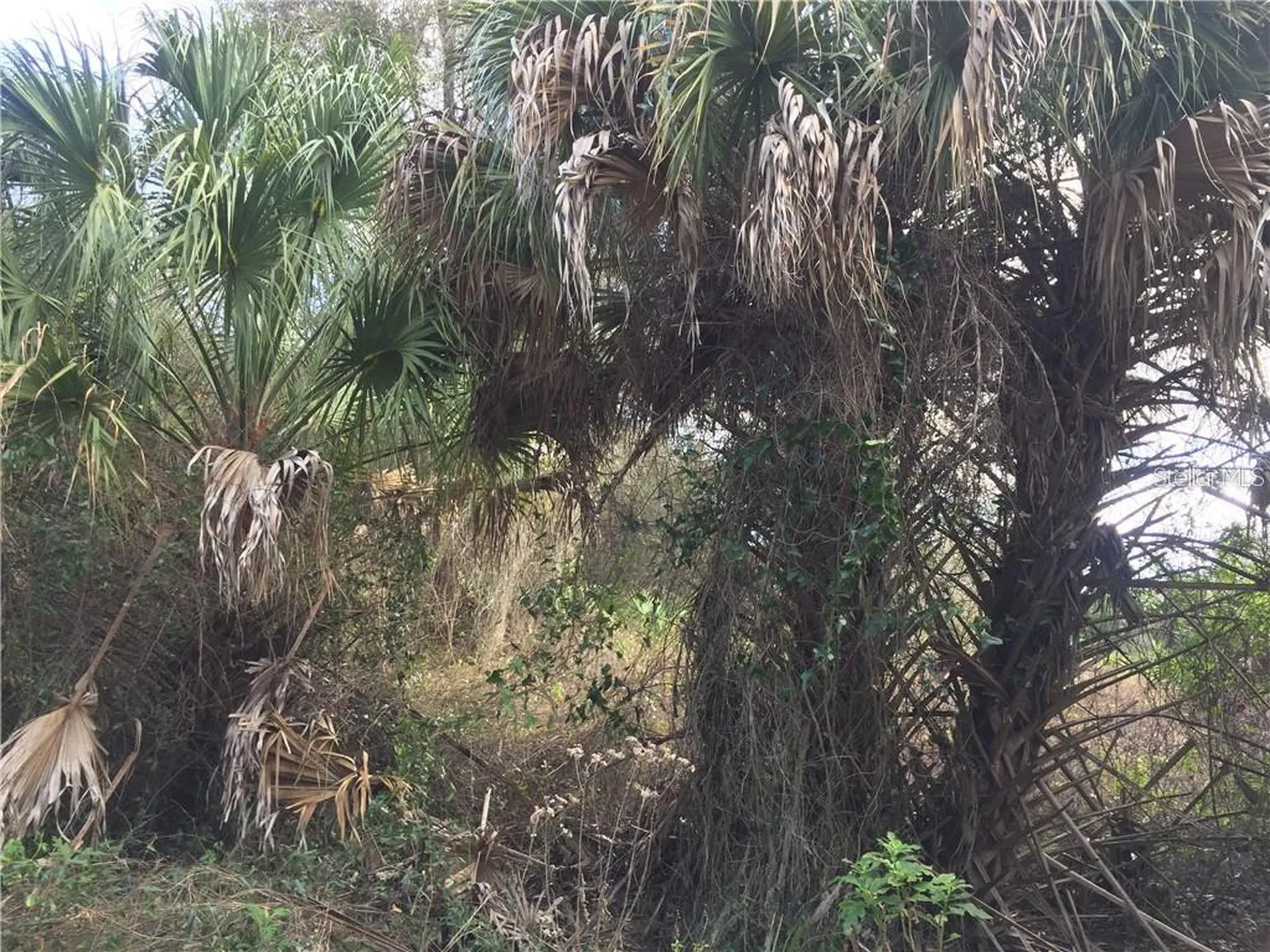 Lot 9 Honeycomb Circle North Port FL 34291