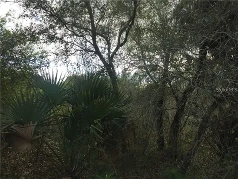 Lot 9 Honeycomb Circle North Port FL 34291