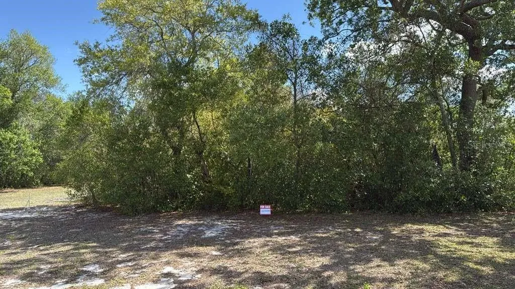 1105 Grapefruit Avenue Sebring FL 33870