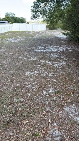 1105 Grapefruit Avenue Sebring FL 33870