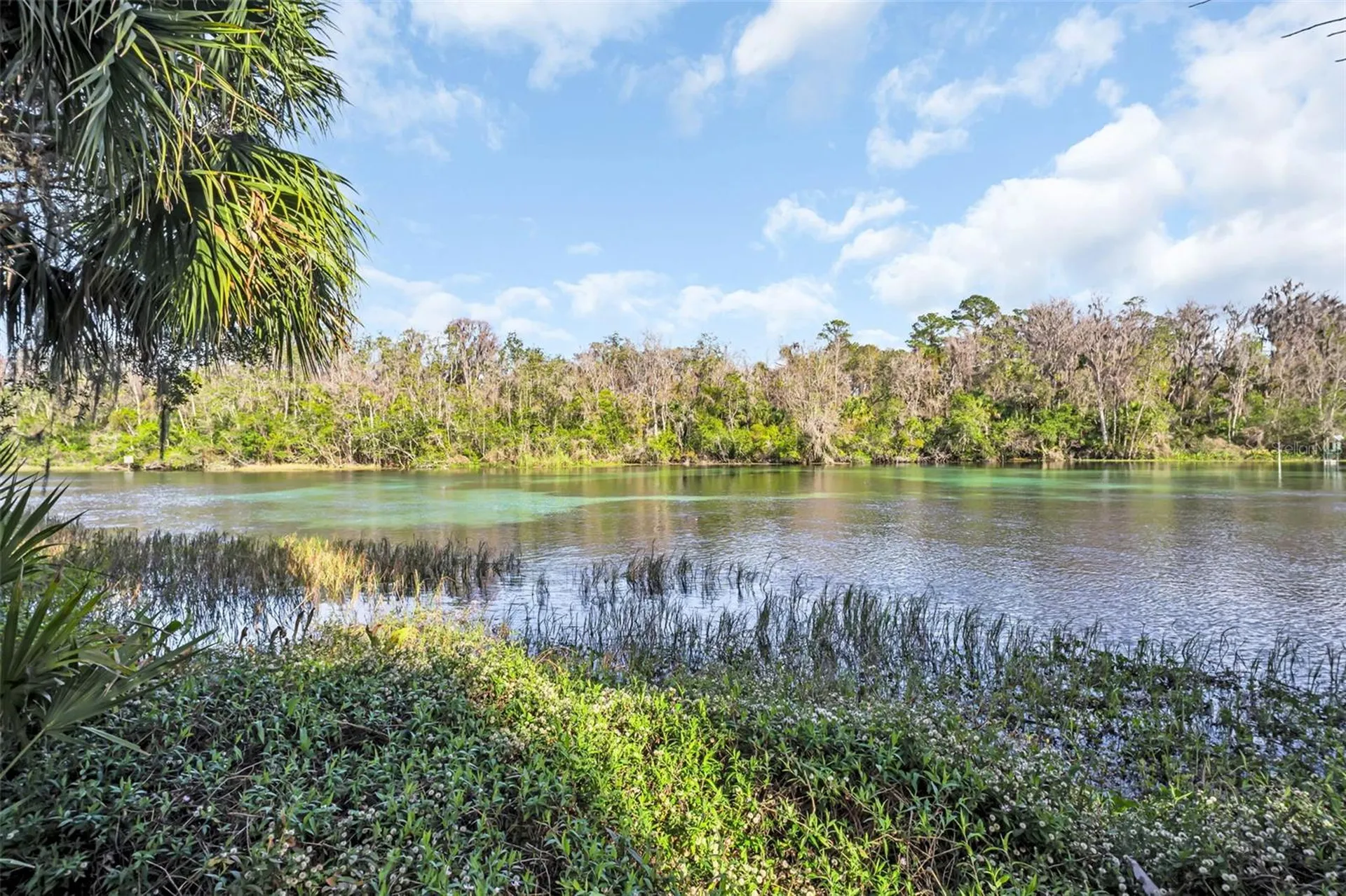8371 SW 197th Court Dunnellon FL 34432