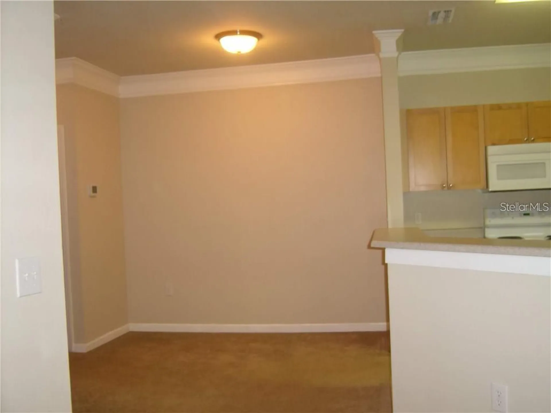 8818 Villa View Circle Orlando FL 32821