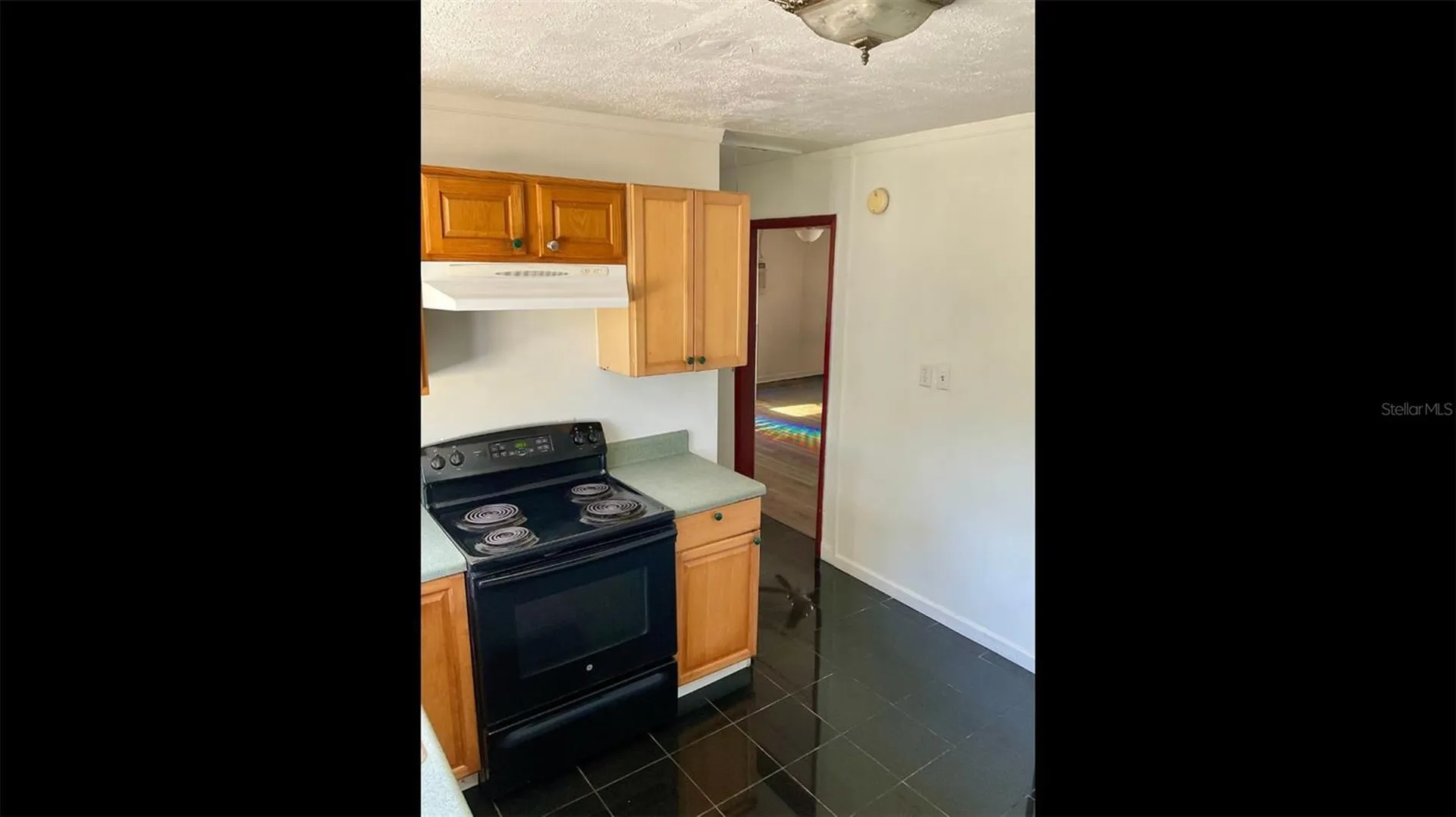 13216 Curley Road Dade City FL 33525