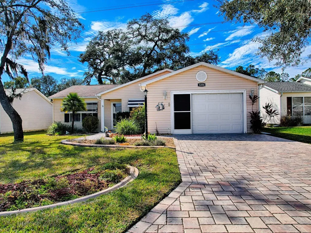 1254 Chaparral Drive The Villages FL 32159